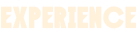 Experience